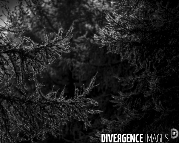 L envers de mon hiver # 18