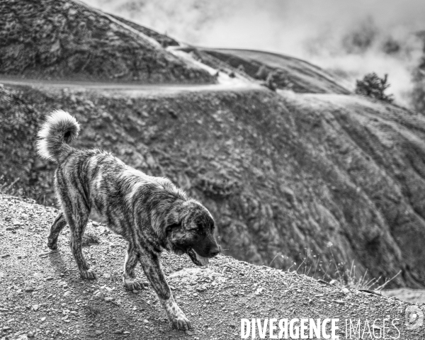 L envers de mon hiver # 18