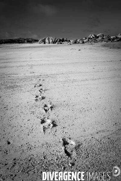 Impressions bretonnes
