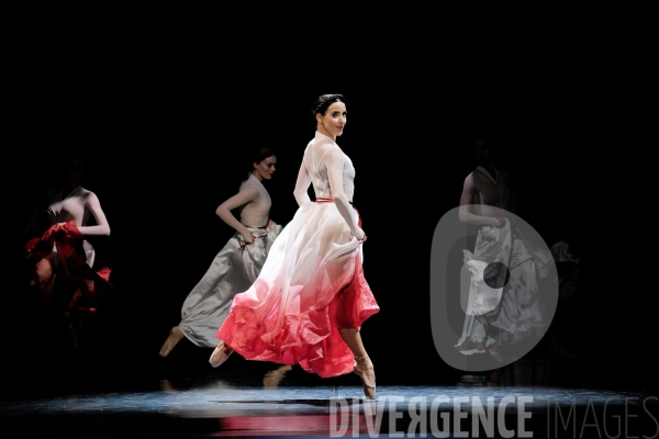 Noces  / Hélène Blackburn / Ballet de l Opéra national du Rhin