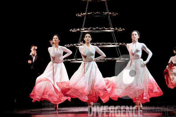Noces  / Hélène Blackburn / Ballet de l Opéra national du Rhin