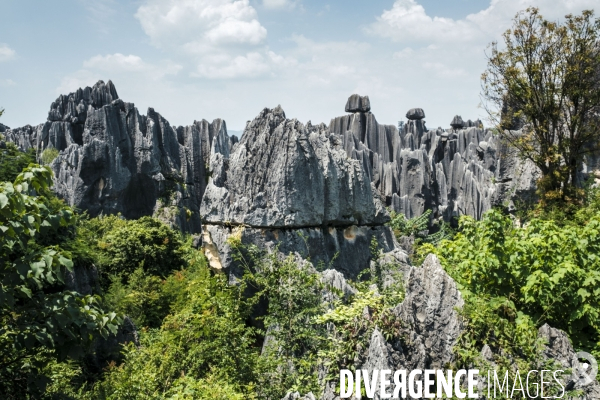 Visite de la foret de pierre de Shilin au Yunnan en Chine