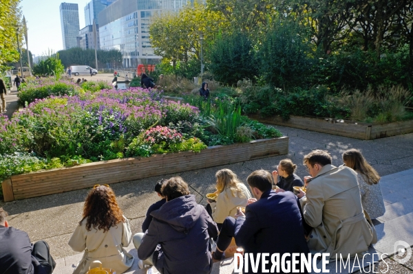 Une matinée à la Défense