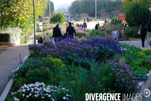 Une matinée à la Défense