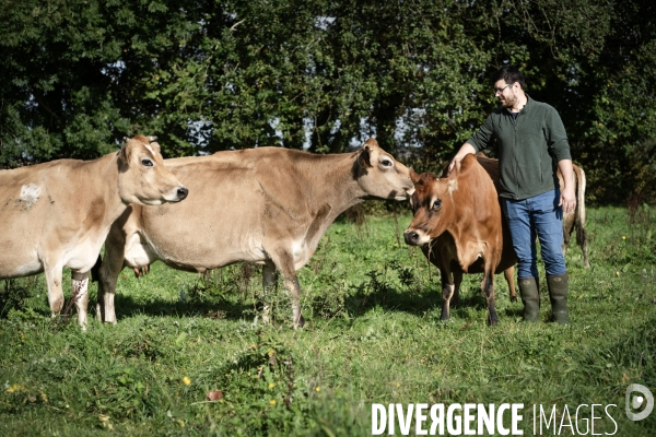 Les vaches de Mathieu
