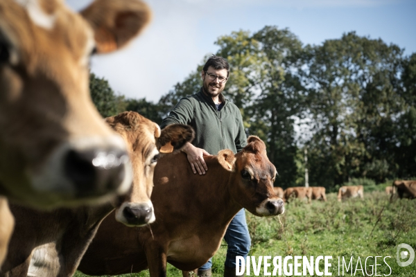 Les vaches de Mathieu
