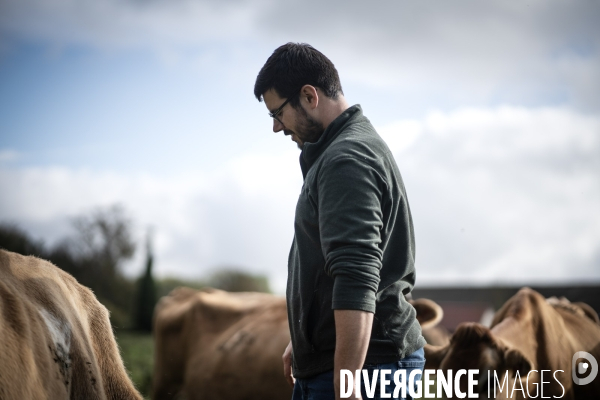 Les vaches de Mathieu