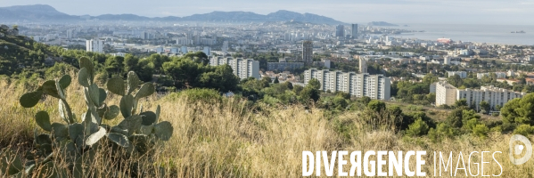 Ilôts verts des quartiers nords