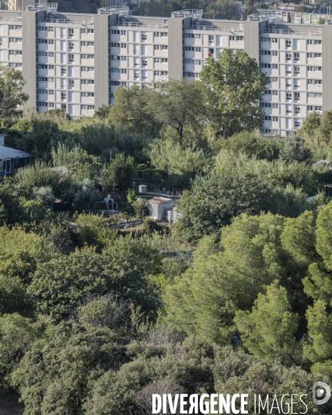 Ilôts verts des quartiers nords