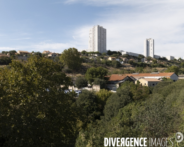 Ilôts verts des quartiers nords