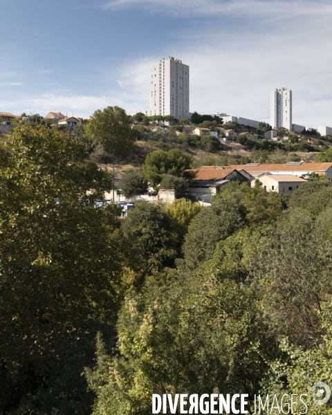 Ilôts verts des quartiers nords