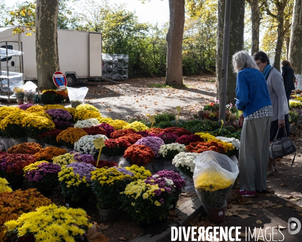 Preparatifs Toussaint