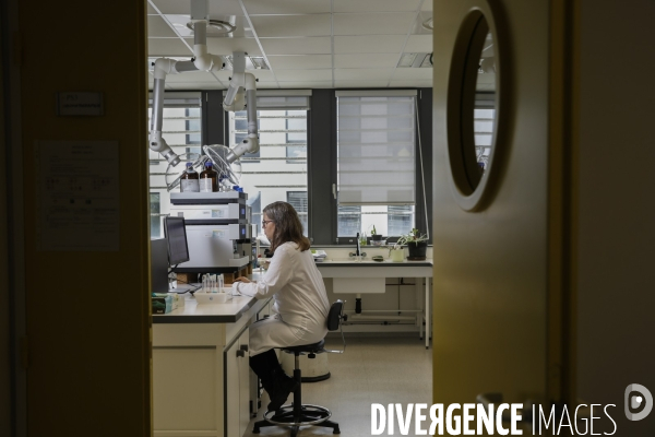 Le service commun des laboratoires des ministères économiques et financiers – DGCCRF et DGDDI de Bordeaux