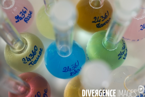 Le service commun des laboratoires des ministères économiques et financiers – DGCCRF et DGDDI de Bordeaux