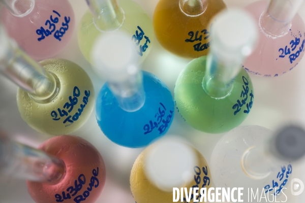 Le service commun des laboratoires des ministères économiques et financiers – DGCCRF et DGDDI de Bordeaux