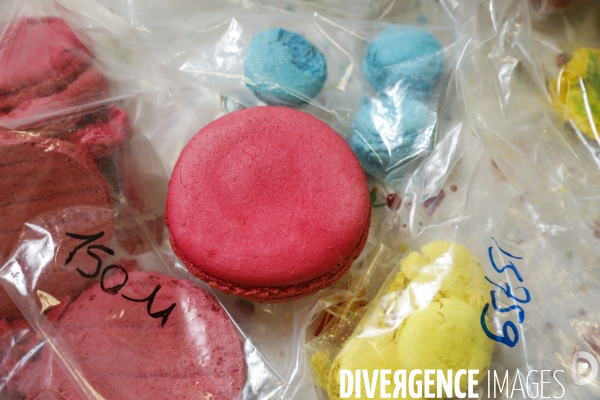 Le service commun des laboratoires des ministères économiques et financiers – DGCCRF et DGDDI de Bordeaux
