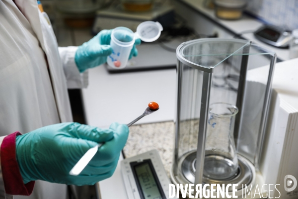 Le service commun des laboratoires des ministères économiques et financiers – DGCCRF et DGDDI de Bordeaux