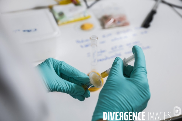 Le service commun des laboratoires des ministères économiques et financiers – DGCCRF et DGDDI de Bordeaux
