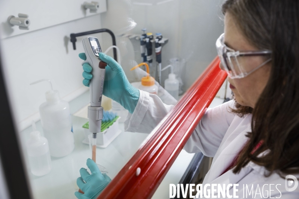 Le service commun des laboratoires des ministères économiques et financiers – DGCCRF et DGDDI de Bordeaux