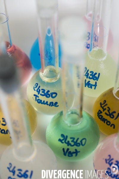 Le service commun des laboratoires des ministères économiques et financiers – DGCCRF et DGDDI de Bordeaux