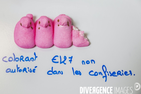 Le service commun des laboratoires des ministères économiques et financiers – DGCCRF et DGDDI de Bordeaux