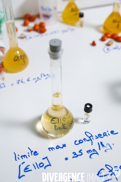 Le service commun des laboratoires des ministères économiques et financiers – DGCCRF et DGDDI de Bordeaux