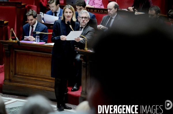 Assemblee nationale/Niche parlementaire du Rassemblement National
