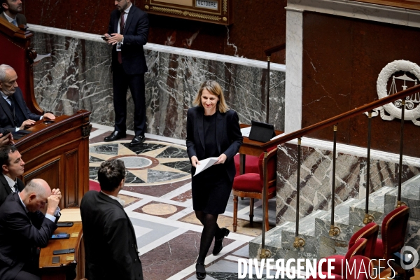 Assemblee nationale/Niche parlementaire du Rassemblement National
