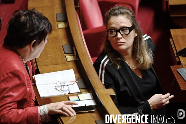 Assemblee nationale/Niche parlementaire du Rassemblement National