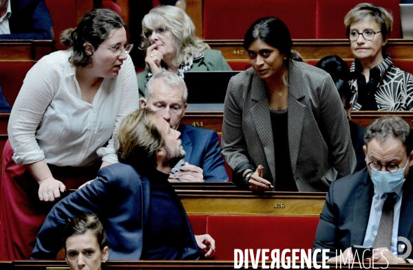 Assemblee nationale/Niche parlementaire du Rassemblement National
