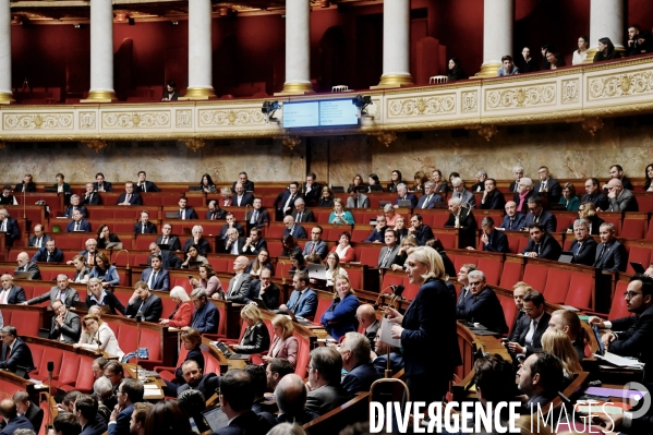 Assemblee nationale/Niche parlementaire du Rassemblement National