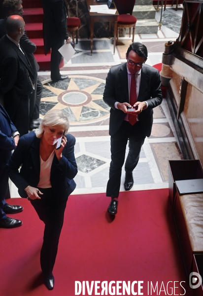 Assemblee nationale/Niche parlementaire du Rassemblement National