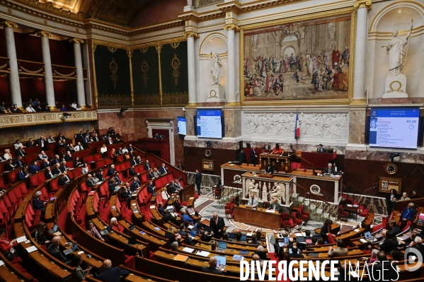 Assemblee nationale/Niche parlementaire du Rassemblement National