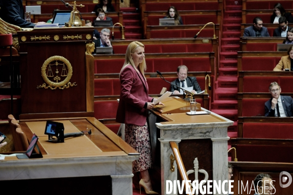 Assemblee nationale/Niche parlementaire du Rassemblement National