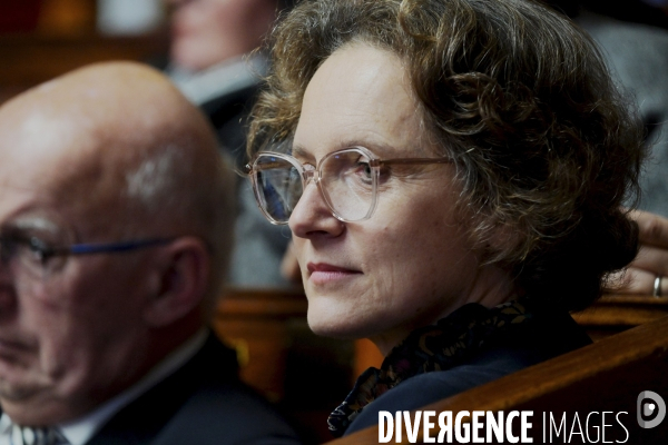Assemblee nationale/Niche parlementaire du Rassemblement National