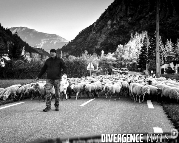 L envers de mon hiver # 22