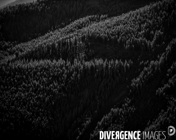 L envers de mon hiver # 22