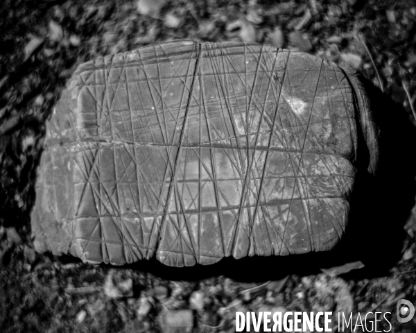 L envers de mon hiver # 22