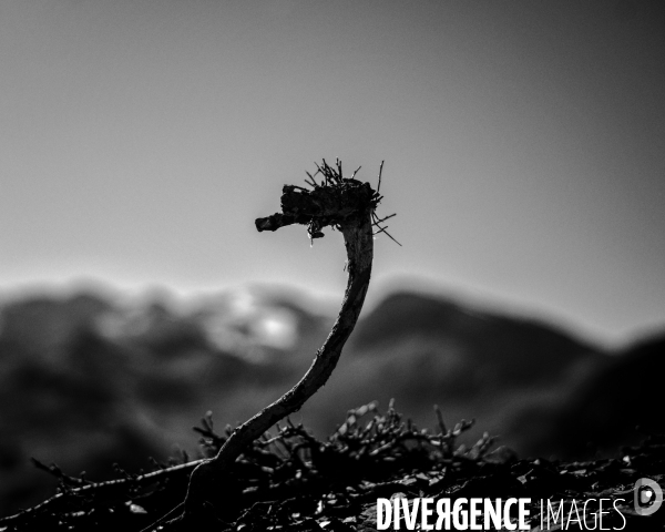 L envers de mon hiver # 22