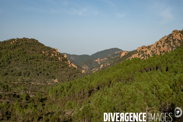 Le massif de l Esterel