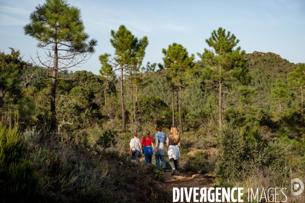 Le massif de l Esterel