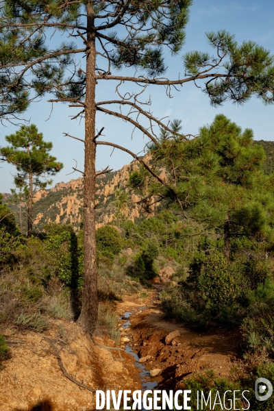 Le massif de l Esterel