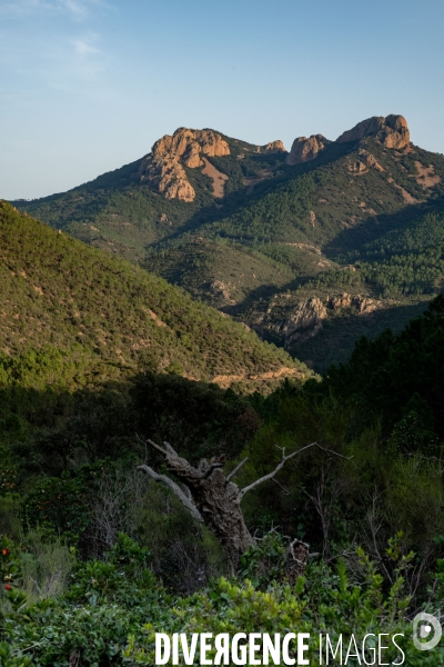 Le massif de l Esterel