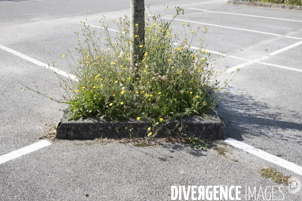 Zone commerciale_2