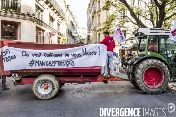 Montpellier - Colere des Agriculteurs - 18.11.2024