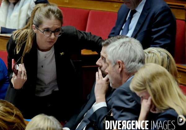 Assemblee nationale/  