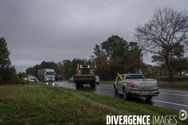 Blocages de la Coordination Rurale dans les Landes