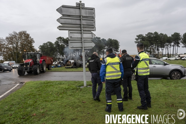 Blocages de la Coordination Rurale dans les Landes