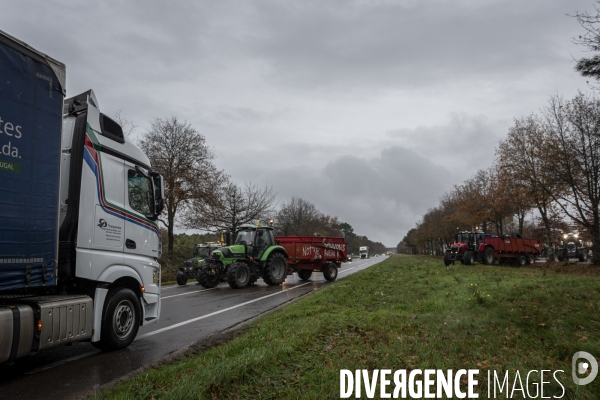 Blocages de la Coordination Rurale dans les Landes
