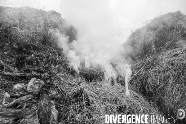 Blocages de la Coordination Rurale dans les Landes